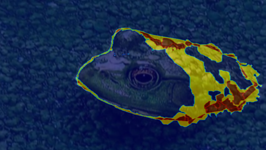 Refer to caption