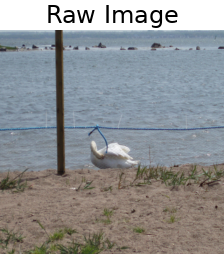 [Uncaptioned image]