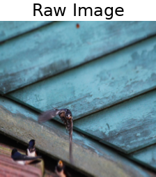 [Uncaptioned image]
