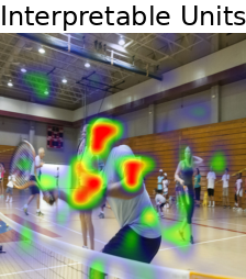 [Uncaptioned image]
