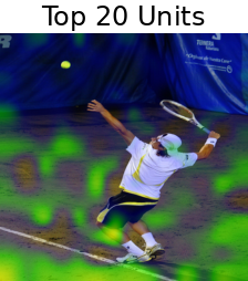[Uncaptioned image]