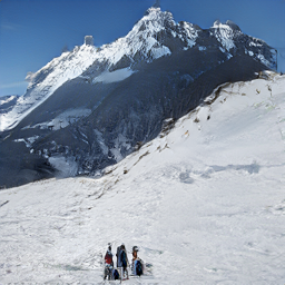 Refer to caption