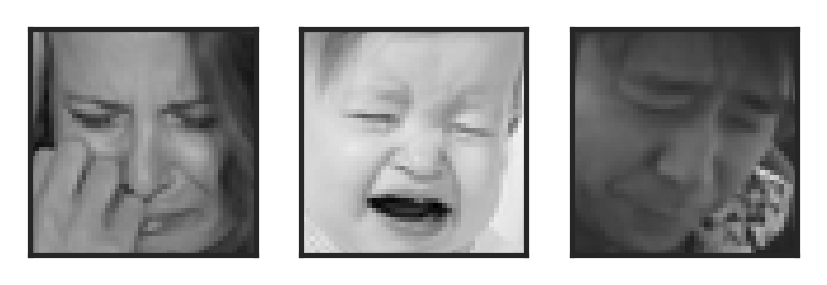 [Uncaptioned image]