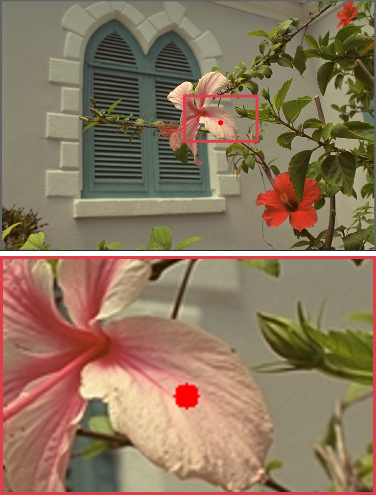 Refer to caption