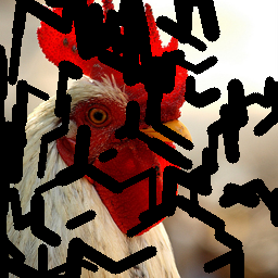 Refer to caption