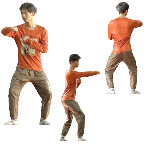 Refer to caption