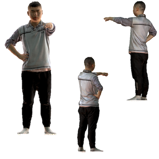 Refer to caption