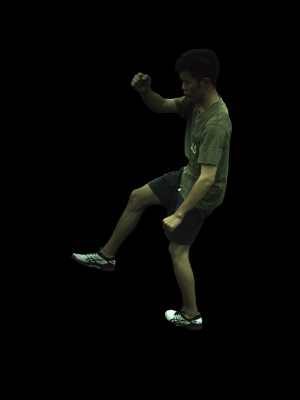 Refer to caption