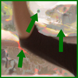 Refer to caption