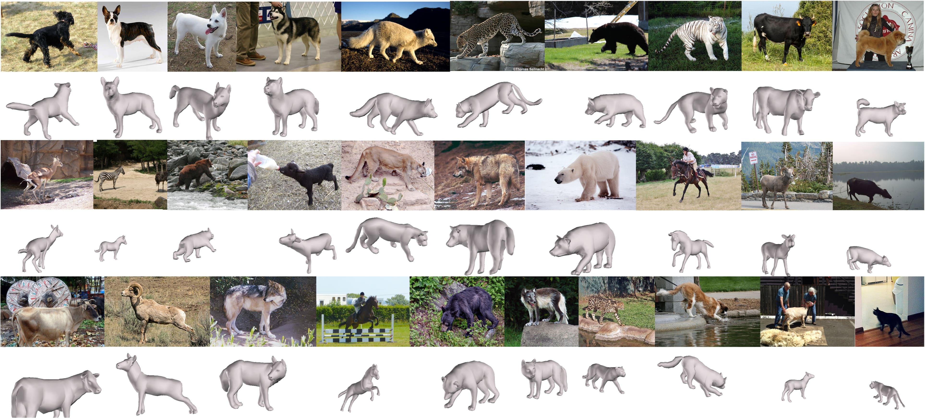 2308.11737] Animal3D: A Comprehensive Dataset of 3D Animal Pose and Shape