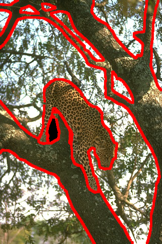 Refer to caption