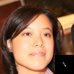 Refer to caption