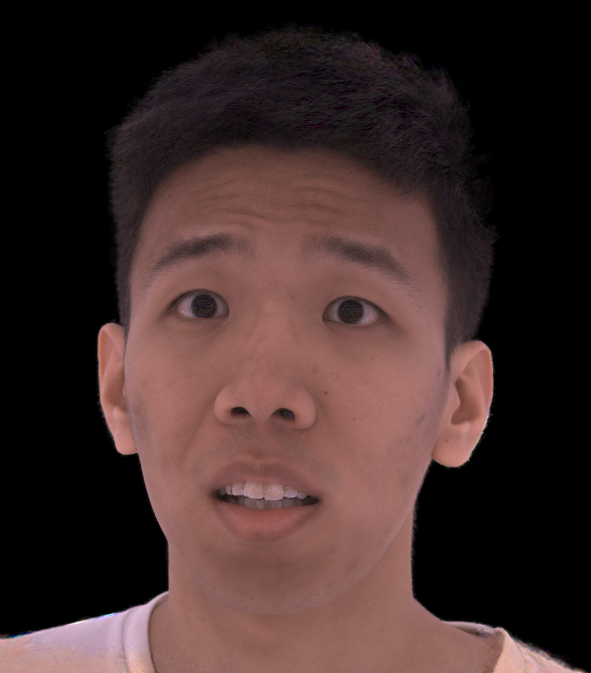 Refer to caption