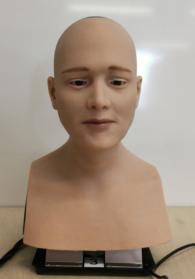 Refer to caption