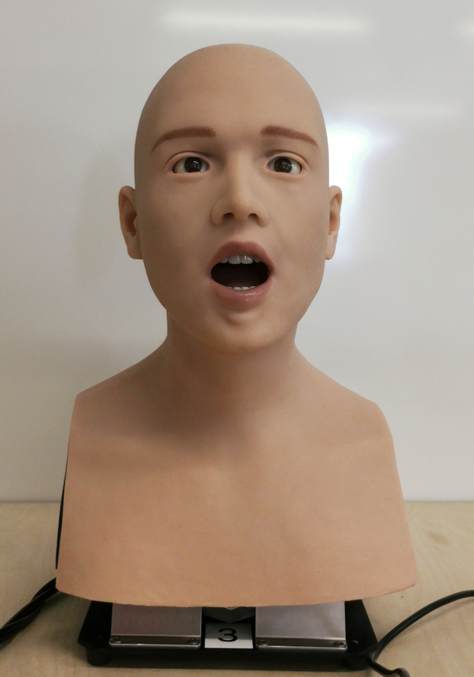 Refer to caption