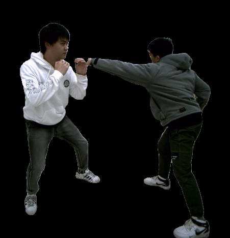 Refer to caption