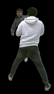 Refer to caption