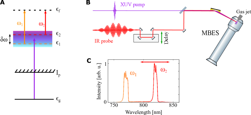 Refer to caption
