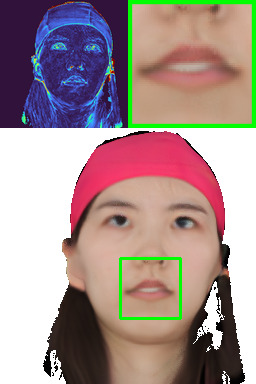 Refer to caption