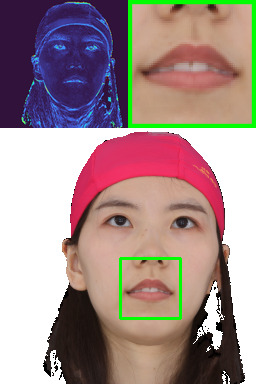 Refer to caption
