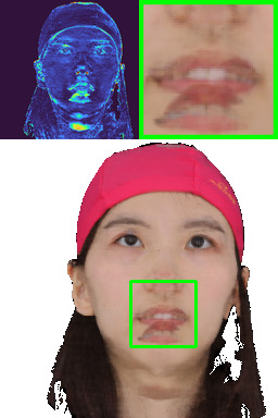 Refer to caption