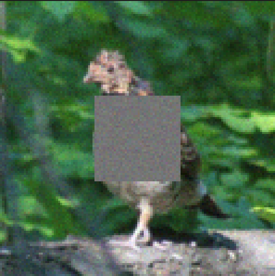 Refer to caption