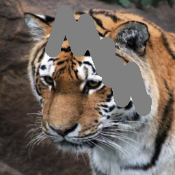 Refer to caption