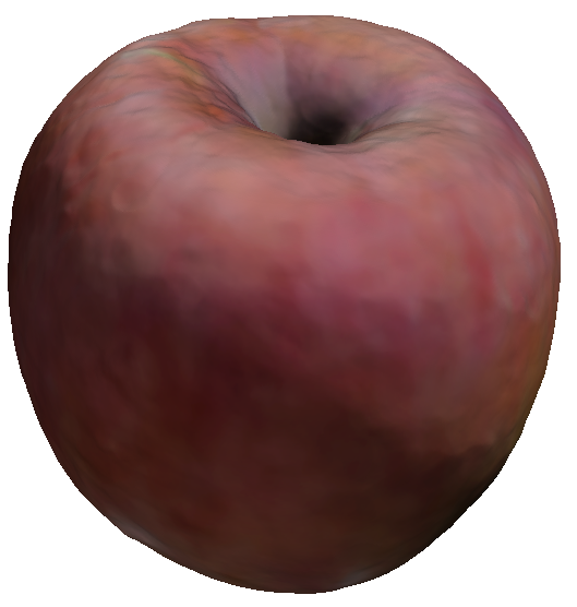 Refer to caption