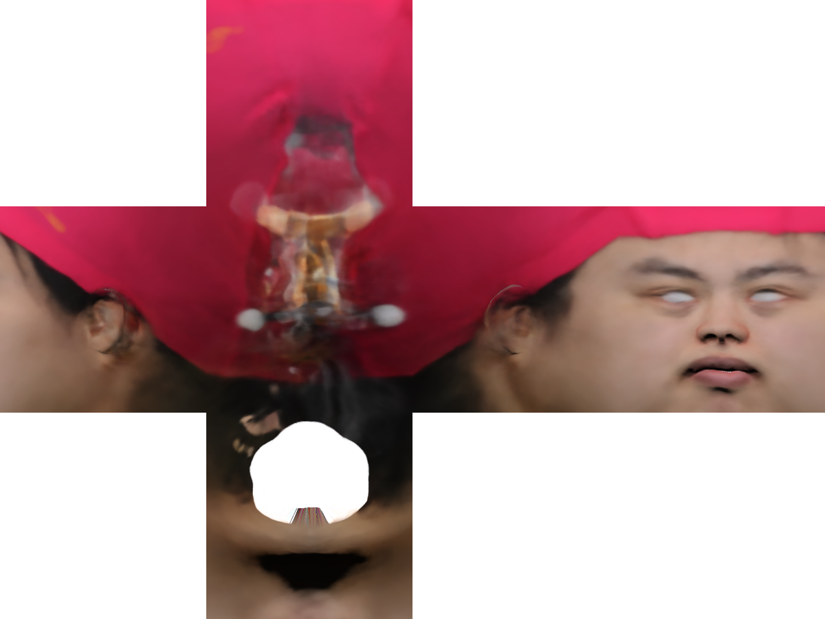 Refer to caption