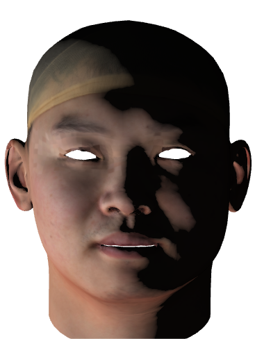 Refer to caption