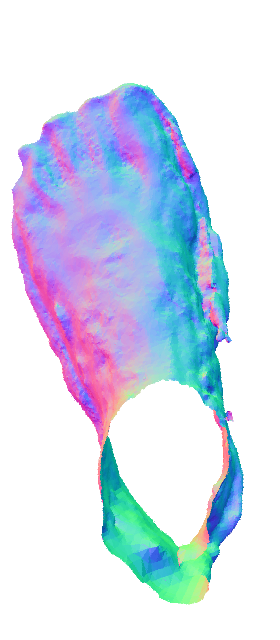 Refer to caption