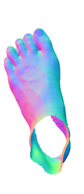 Refer to caption