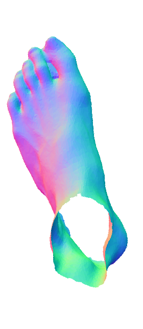 Refer to caption