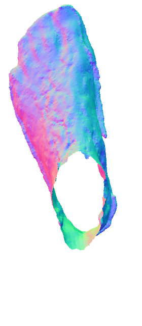Refer to caption