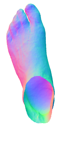 Refer to caption