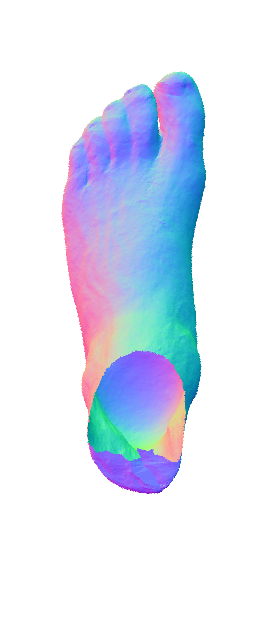 Refer to caption