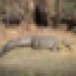 [Uncaptioned image]