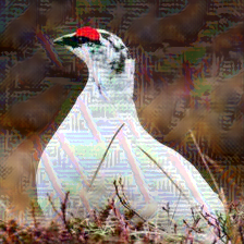 Refer to caption