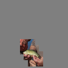 Refer to caption