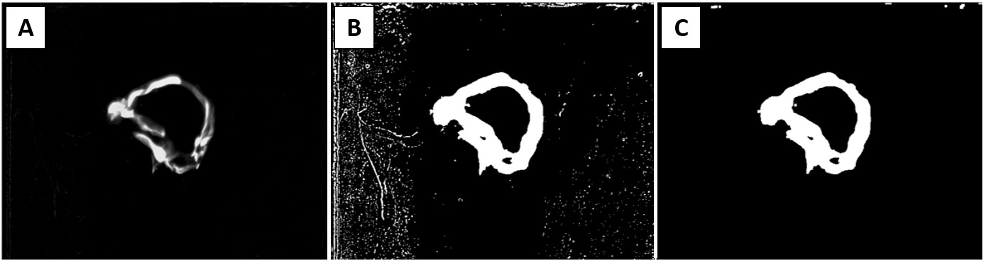 Refer to caption