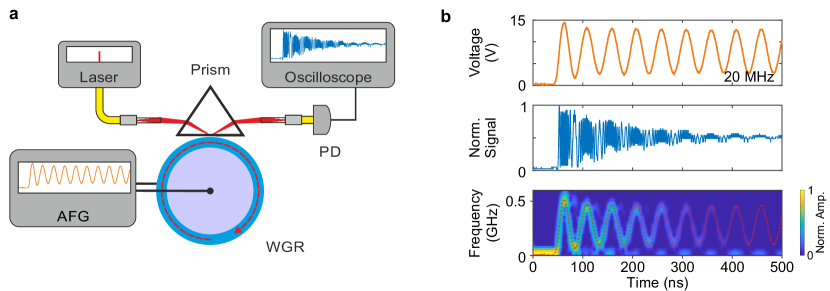Refer to caption