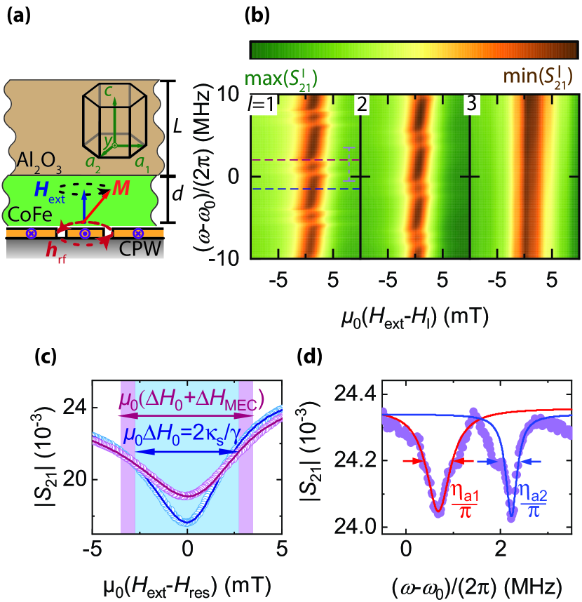 [2311.16725] Temperature dependence of the magnon-phonon interaction in ...