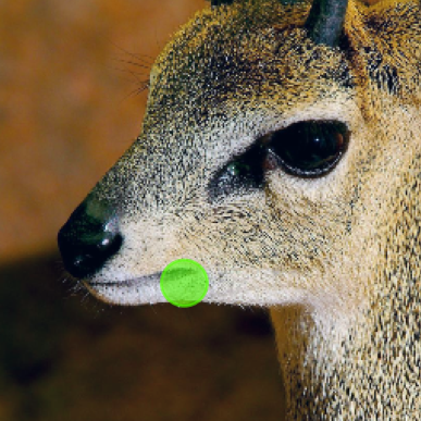 Refer to caption