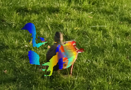 Refer to caption
