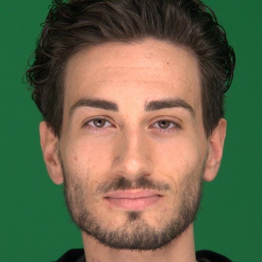 Refer to caption