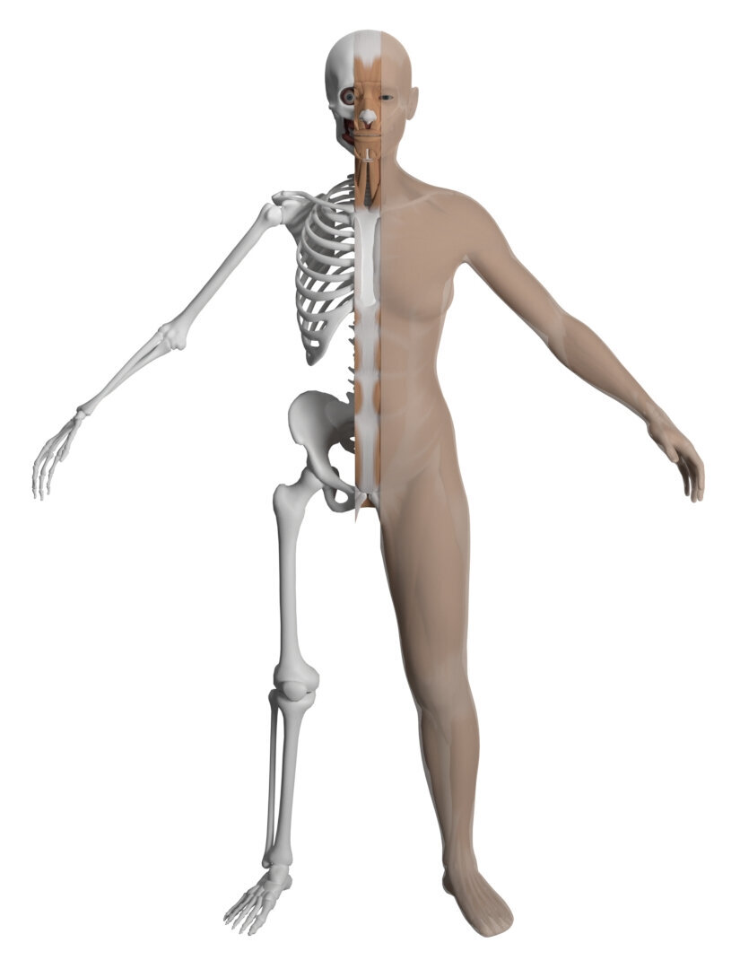 Refer to caption