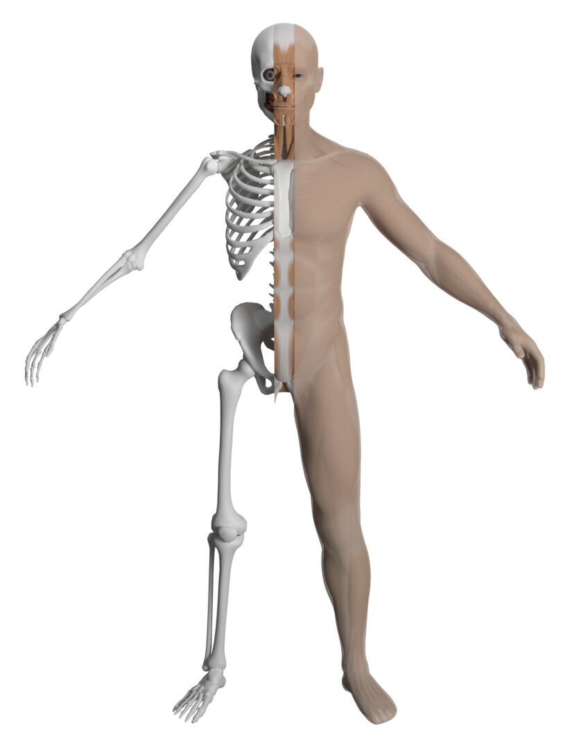 Refer to caption