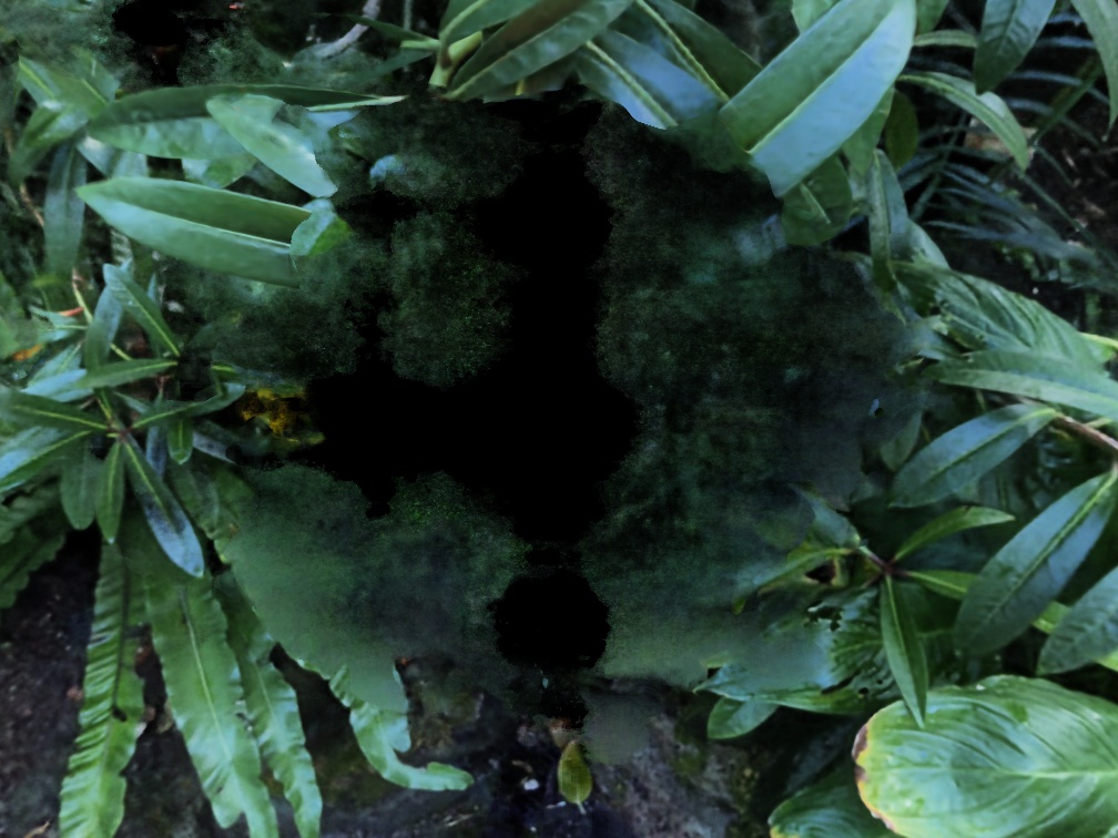 Refer to caption