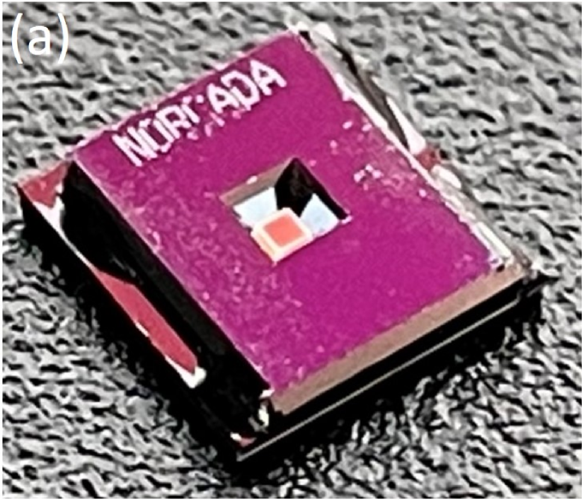 Refer to caption