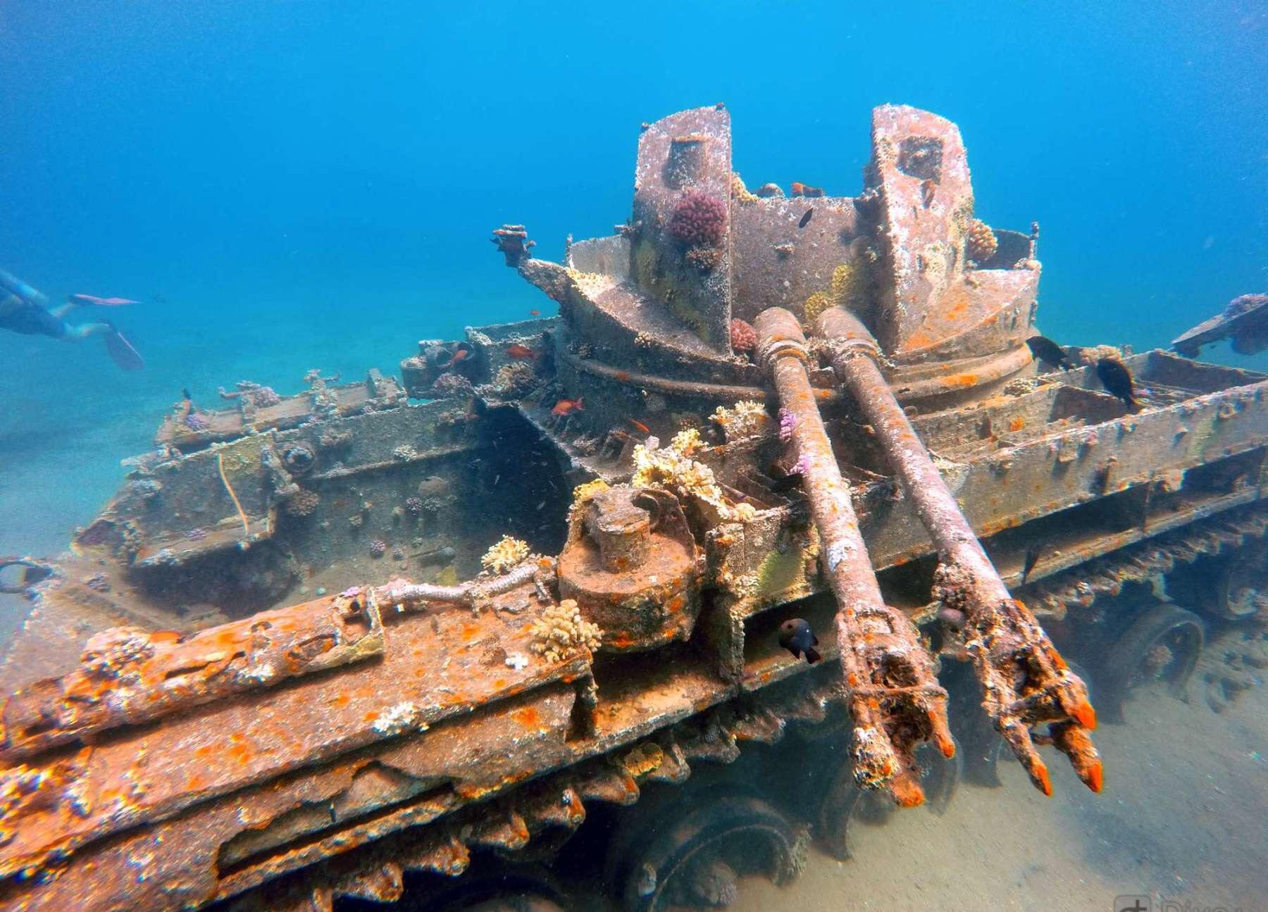 Refer to caption